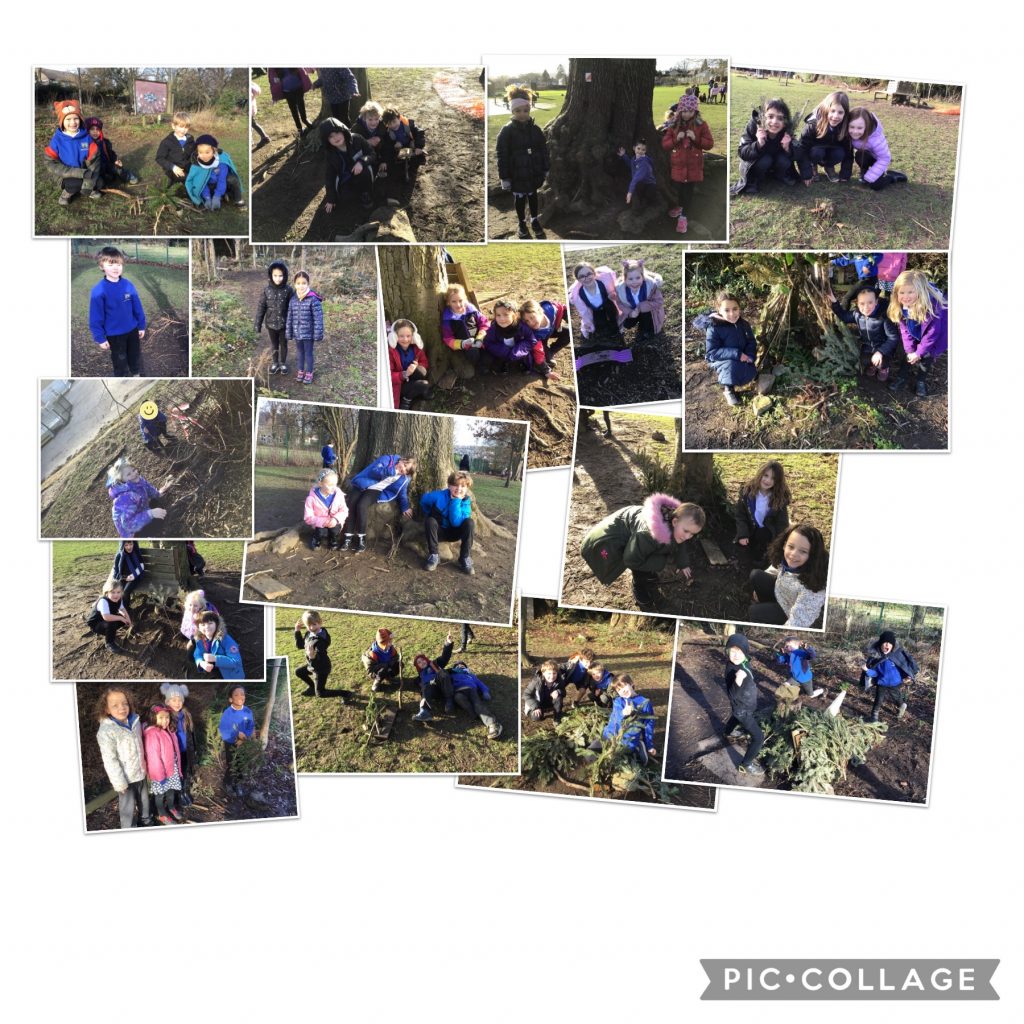 Making Dens - Outdoor Learning