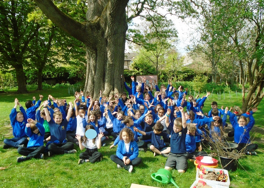 Year 2 and 3 Tree Planting