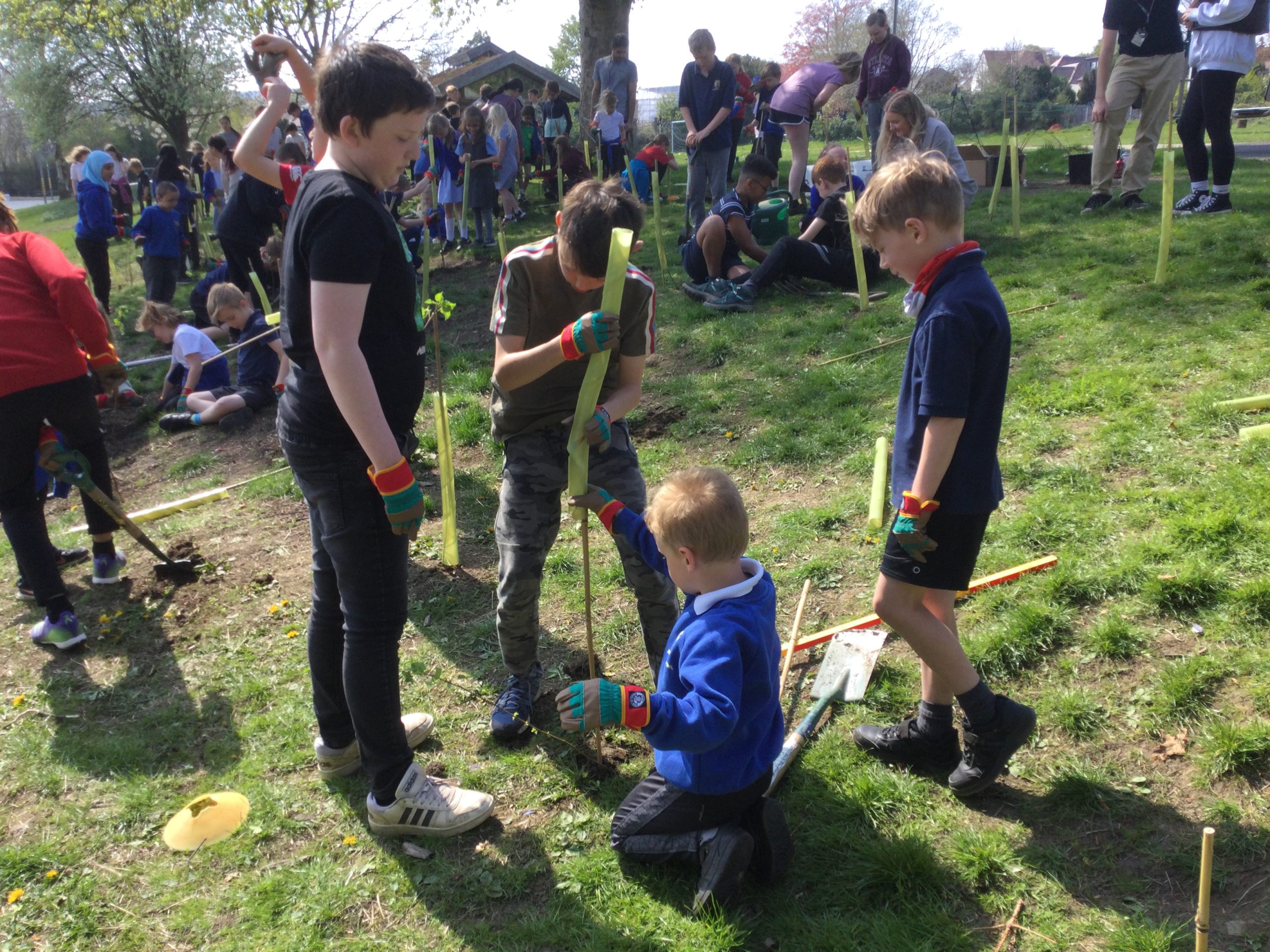 Tree Planting in Y1 and Y6