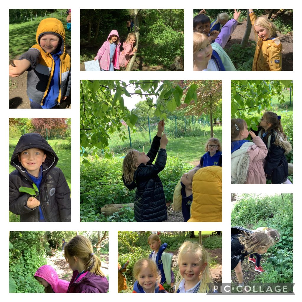 Y1 Outdoor Learning, Using our Senses
