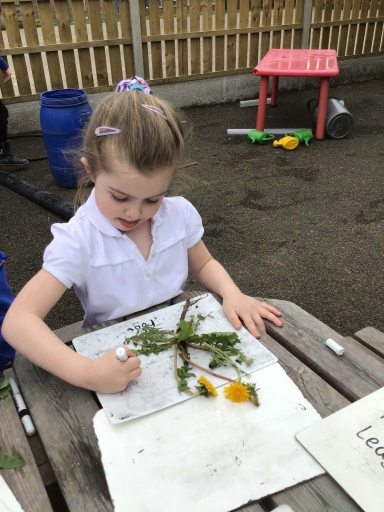 Y1 Outdoor learning