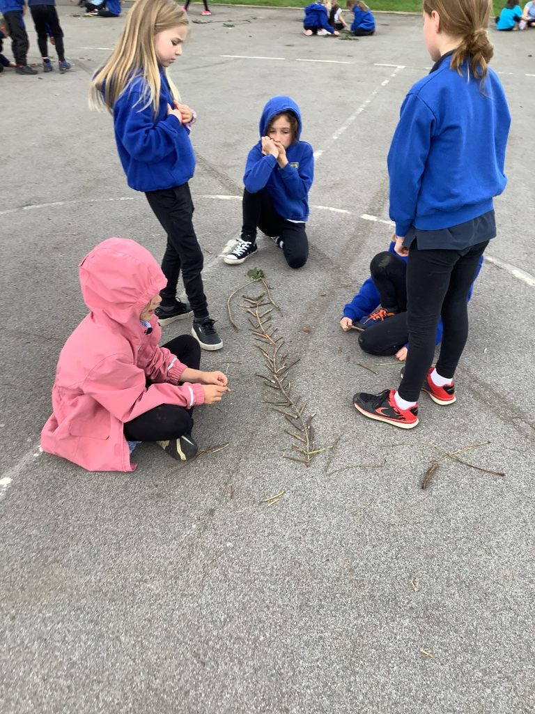 Y3 Science & Outdoor learning - types of skeletons