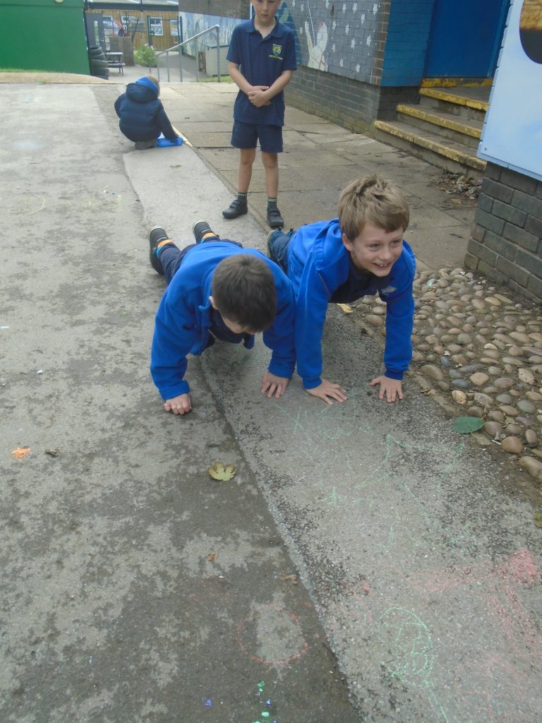 Y3 Science - different joints