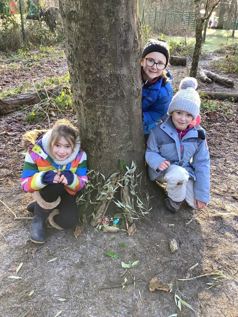 Y3 Outdoor Learning - Shelter Building